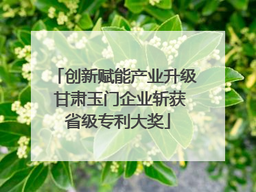 创新赋能产业升级 甘肃玉门企业斩获省级专利大奖