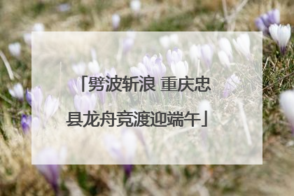 劈波斩浪 重庆忠县龙舟竞渡迎端午