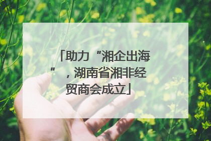 助力“湘企出海”，湖南省湘非经贸商会成立