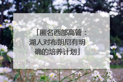 匿名西部高管：湖人对布朗尼有明确的培养计划
