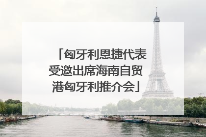 匈牙利恩捷代表受邀出席海南自贸港匈牙利推介会