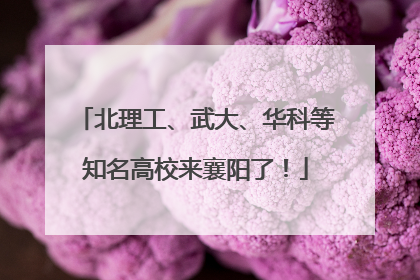 北理工、武大、华科等知名高校来襄阳了！