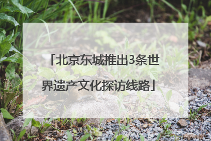 北京东城推出3条世界遗产文化探访线路