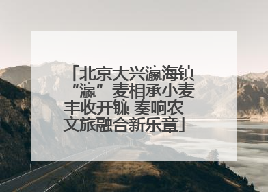 北京大兴瀛海镇“瀛”麦相承小麦丰收开镰 奏响农文旅融合新乐章