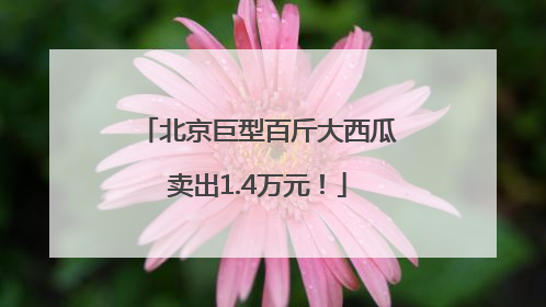 北京巨型百斤大西瓜卖出1.4万元！