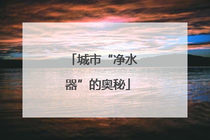城市“净水器”的奥秘