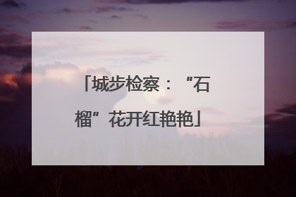 城步检察：“石榴”花开红艳艳