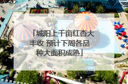 城阳上千亩红杏大丰收 预计下周各品种大面积成熟