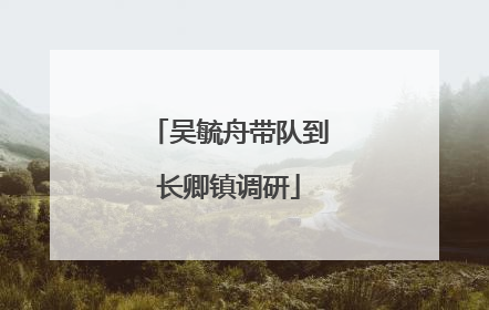 吴毓舟带队到长卿镇调研