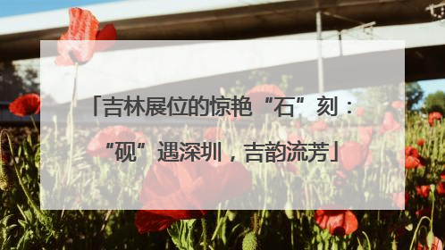 吉林展位的惊艳“石”刻：“砚”遇深圳，吉韵流芳