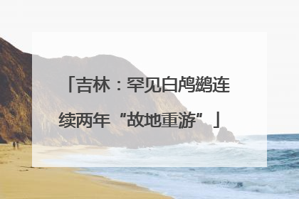 吉林：罕见白鸬鹚连续两年“故地重游”