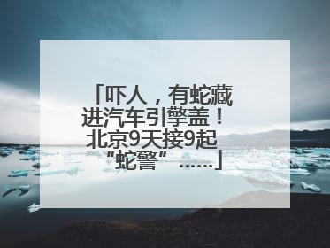 吓人，有蛇藏进汽车引擎盖！北京9天接9起“蛇警”……