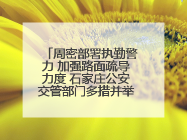 周密部署执勤警力 加强路面疏导力度 石家庄公安交管部门多措并举确保考点周边交通环境良好