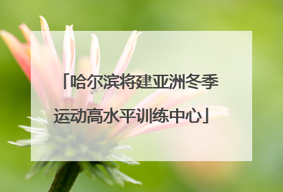 哈尔滨将建亚洲冬季运动高水平训练中心