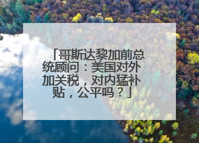 哥斯达黎加前总统顾问：美国对外加关税，对内猛补贴，公平吗？