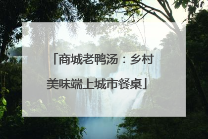 商城老鸭汤：乡村美味端上城市餐桌
