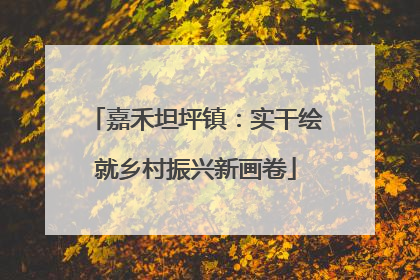 嘉禾坦坪镇：实干绘就乡村振兴新画卷