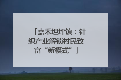 嘉禾坦坪镇：针织产业解锁村民致富“新模式”