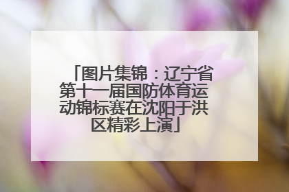 图片集锦：辽宁省第十一届国防体育运动锦标赛在沈阳于洪区精彩上演