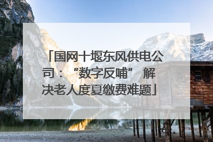 国网十堰东风供电公司：“数字反哺” 解决老人度夏缴费难题