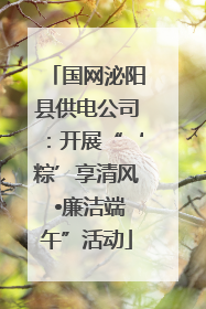 国网泌阳县供电公司：开展“‘粽’享清风 •廉洁端午”活动