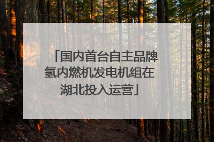 国内首台自主品牌氢内燃机发电机组在湖北投入运营