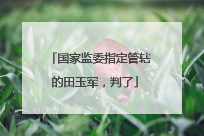 国家监委指定管辖的田玉军，判了
