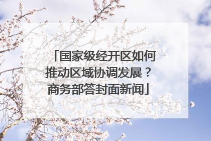 国家级经开区如何推动区域协调发展？商务部答封面新闻