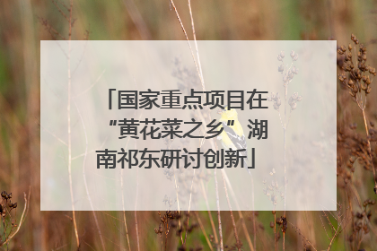 国家重点项目在“黄花菜之乡”湖南祁东研讨创新