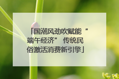 国潮风劲吹赋能“端午经济” 传统民俗激活消费新引擎