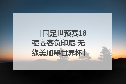 国足世预赛18强赛客负印尼 无缘美加墨世界杯
