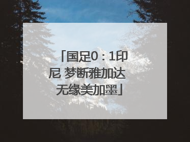 国足0∶1印尼 梦断雅加达 无缘美加墨