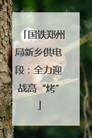 国铁郑州局新乡供电段：全力迎战高“烤”