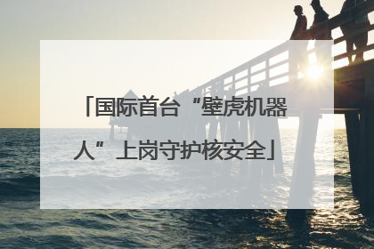 国际首台“壁虎机器人”上岗守护核安全