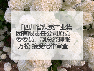 四川省煤炭产业集团有限责任公司原党委委员、副总经理张万松 接受纪律审查和监察调查