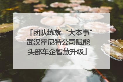 团队练就“大本事” 武汉霍尼特公司赋能头部车企智慧升级