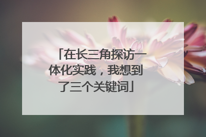 在长三角探访一体化实践，我想到了三个关键词