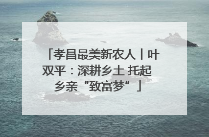 孝昌最美新农人丨叶双平：深耕乡土 托起乡亲“致富梦”