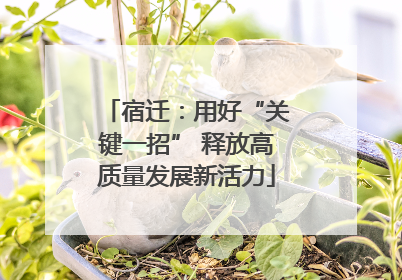 宿迁：用好“关键一招” 释放高质量发展新活力