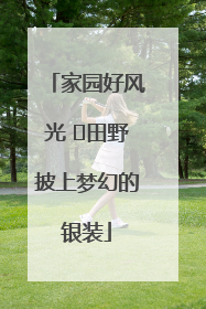 家园好风光 ⎮田野披上梦幻的银装