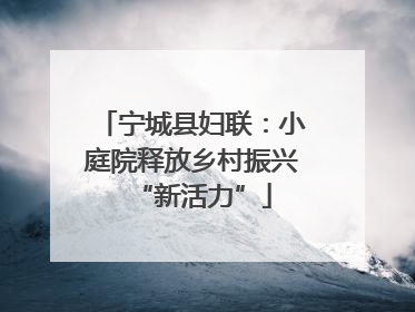 宁城县妇联：小庭院释放乡村振兴“新活力”