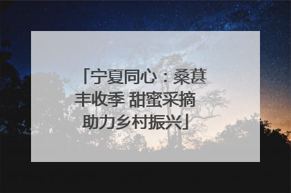 宁夏同心：桑葚丰收季 甜蜜采摘助力乡村振兴