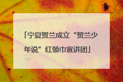 宁夏贺兰成立“贺兰少年说”红领巾宣讲团