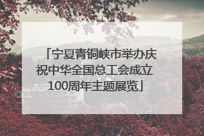 宁夏青铜峡市举办庆祝中华全国总工会成立100周年主题展览