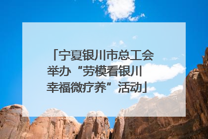 宁夏银川市总工会举办“劳模看银川 幸福微疗养”活动
