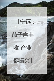 宁远：茄子喜丰收 产业促振兴