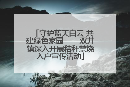 守护蓝天白云 共建绿色家园——双井镇深入开展秸秆禁烧入户宣传活动