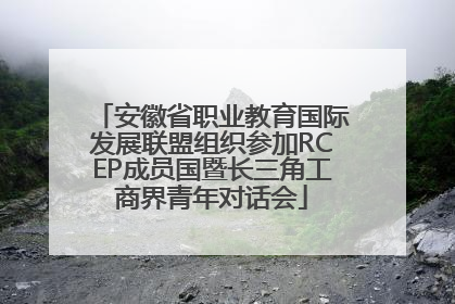 安徽省职业教育国际发展联盟组织参加RCEP成员国暨长三角工商界青年对话会