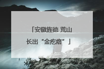 安徽旌德 荒山长出“金疙瘩”