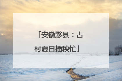 安徽黟县：古村夏日插秧忙